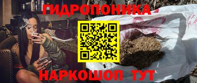 дживик Моздок