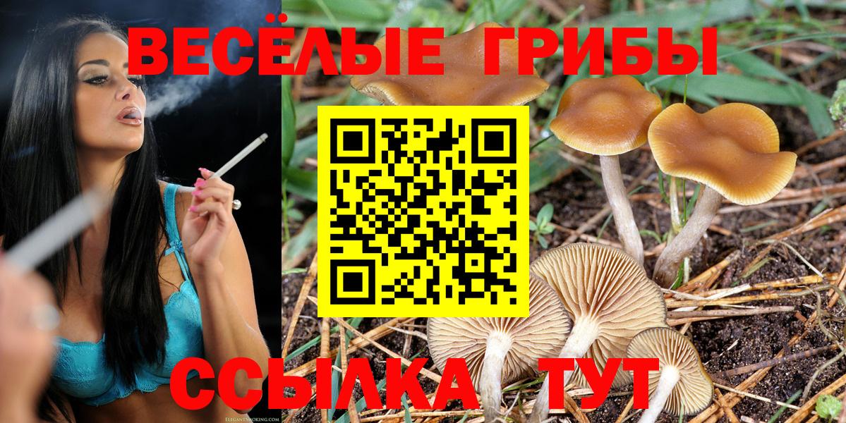 Галлюциногенные грибы ЛСД Гай